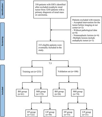 Pathological diagnostic nomograms for predicting malignant histology and unfavorable pathology in patients with endophytic renal tumor